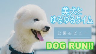 【美犬】わんダフルなドッグラン 「公園deビュー・三沢市 四川目ふるさと広場」