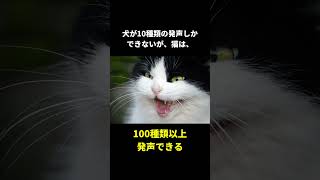 猫に関する面白い雑学 part2