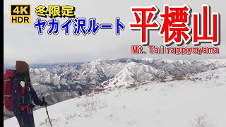 【雪山登山 平標山】谷川岳の絶景！スノーシューでヤカイ沢ルートを歩く2023.02