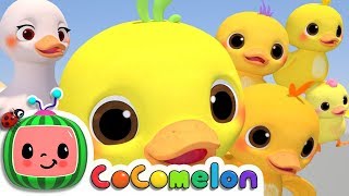 Five Little Ducks | CoComelon Nursery Rhymes & Kids Songs