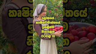 ලෝකයේ හොඳම කෘෂිකාර්මික නිෂ්පාදන රටවල් 10 🌾 Top agricultural producing countries in the world #shorts