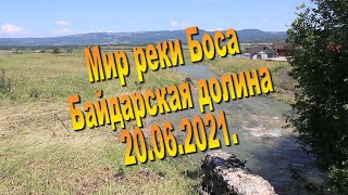 Речка Боса в цвете  20 06 2021