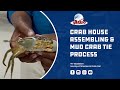 Crab House Assembling & Mud Crab Tie Process