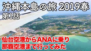 【沖縄旅行】沖縄本島の旅 2019春 第1話 〜仙台空港からANAに乗り那覇空港まで行ってみた〜 【那覇空港・仙台国際空港】