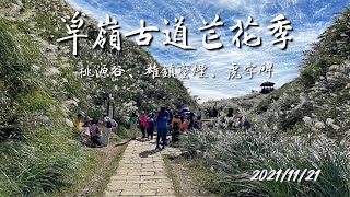 2021 草嶺古道芒花季