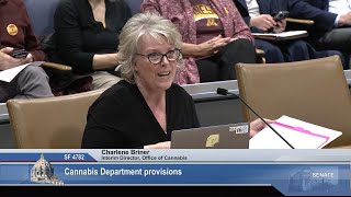 Committee on State and Local Government and Veterans - 04/05/24