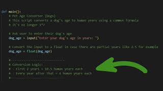 2025 Python Programming Comment Tutorial