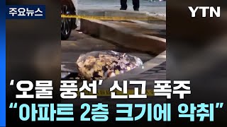 "아파트 2층 크기에 악취까지"...전국서 신고 폭주 / YTN