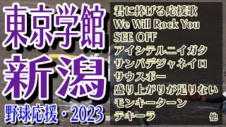 東京学館新潟　野球応援・応援曲紹介[2023・選手権]