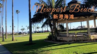 [Eng] 南加周末好去处-新港海滩看鲸去!海滩重新开放!| LA Weekend Getaway-Newport Beach Whale Watch! Beach reopen milestone!