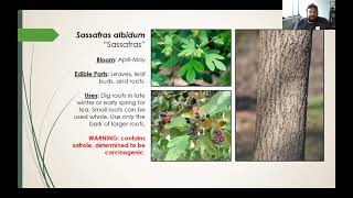 Native Edible \u0026 Medicinal Plants of the Ozarks