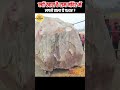 क्यों खास है राम मंदिर में लगने वाला ये पत्थर shaligram stone shorts ytshorts