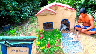 Dogs in Box. Rescue Abandoned Puppies / Build Mud House Dog and Garden / Love Animals