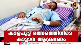 കാട്ടാന ആക്രമണം;2 പേര്‍ക്ക് പരുക്ക്‌ | Elephant attack | Kairali News