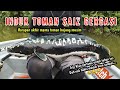 IKAN TOMAN SAIZ GERGASI !!! Harapan Akhir Mama Toman Hujung Musim #fishing #snakehead #toman