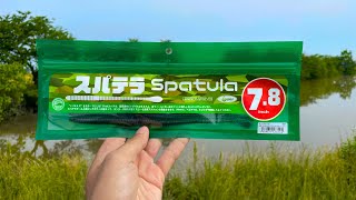 【夢の６０チャレンジ２２】琵琶湖の水路やメジャースポットで当たりが…の巻