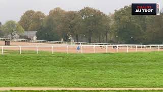 Qualifications Grosbois - Trot attelé - Lot 10 du 8/11/24