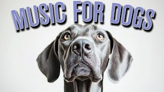 [NO ADS] Music for Dogs 🐕 Fast Acting Relaxation Tunes for Anxious Dogs