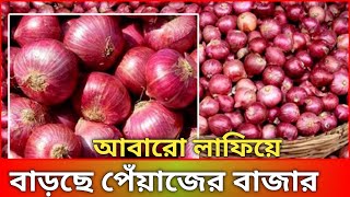 হঠাৎ ইতিহাস করল পেঁয়াজের বাজার || 7/05/2024 আজকের খবর || onion market today