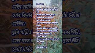 নিমিলা অংক||কবিতা||প্ৰেম ভালপোৱা||assamese poem||kobita||অসমীয়া কবিতা||ytshort||short video