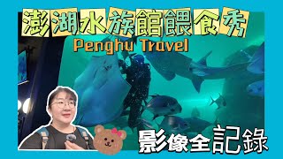 澎湖水族館鯊魚魟魚餵食秀全紀錄