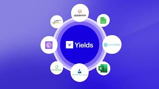 Model Risk Management Software by Yields