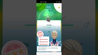 Pokémon GO 粉蝶蟲/Modern IV100