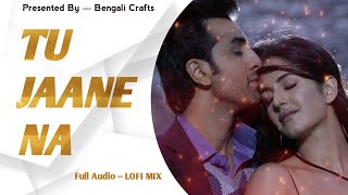 Tu Jaane Na | Lofi - Mix | Ajab Prem Ki Ghazab Kahani | Full Audio | Mp3 Song | tu jaane na lofi mix