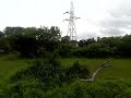 coconut trees green land s palakkad to coimbatore tour