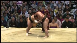 Day 15 Haru 2015, Hakuho vs Harumafuji