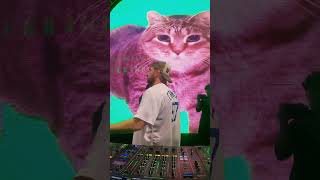 Crankdat - OIIA OIIA CAT LIVE #crankdat #dubstep #Rave #shorts