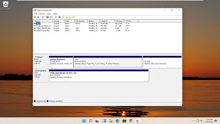 Windows 11/10：在磁盘管理中未检测到新SSD