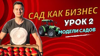 Яблоневый сад / Типы садов / Как заработать ?