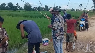 ស្ទូចត្រីឆ្លូញក្នុងស្រែ #cambodia #khmer #ខ្នែរ #ត្រីឆ្លូញ #ត្រីផ្ទក់ #ត្រីអណ្ដែង #ត្រីក្រាញ់