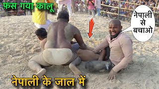 नेपाली के जाल में फस गया कालू ।रोने लगा कालू । जान की दुहाई मांगी । basant thapa ki new Kushti.