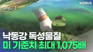 낙동강 독성물질 미국 기준치의 최대 1,075배(2022.08.04/뉴스데스크/MBC경남)