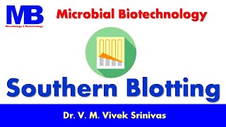 SOUTHERN BLOTTING | Biotechnology | Vivek Srinivas | #Southernblot #Biotechnology #Molecularbiology