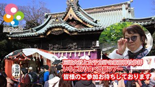 【三嶋大社と女子力UPの来宮神社参拝\u0026いちご狩り食べ放題ツアー】