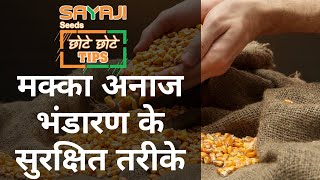 मक्का अनाज भंडारण के सुरक्षित तरीके - छोटे छोटे Tips (How to store Maize safely)