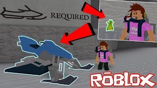 Code Comment Avoir Le Diamond Frosty Pet Roblox Snow Shoveling - ice mountain expansion and lightsaber snow shoveling simulator roblox