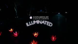 Leonardslee Illuminated 2023