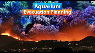 Aquarium - Planning for and Surviving an Evacuation