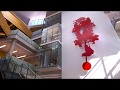 Austin Public Library Teaser Video