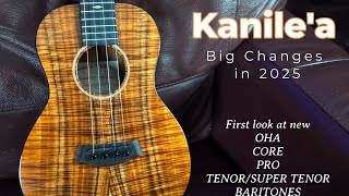 A BIG YEAR FOR KANILE'A UKULELES