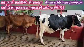 மாடுகள் சினையா??? இல்லையா ???? | மாடுகளில் சினைப் பரிசோதனை எப்போது செய்ய வேண்டும் ???/kalnadaitholan