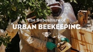 Urban Beekeeping in Los Angeles