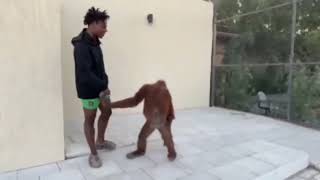 IShowSpeed Meets a MONKEY For The FIRST Time