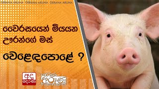 වෛරසයෙන් මියයන ඌරන්ගේ මස් වෙළෙඳපොළේ ?