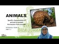 Science Year 5 | Animals | Specific Characteristics of Animals to Protect Themselves from Enemies |