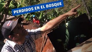 EXTRAVIADOS EN EL BOSQUE DE BLANCO BONAO Y PINALITO CONSTANZA.